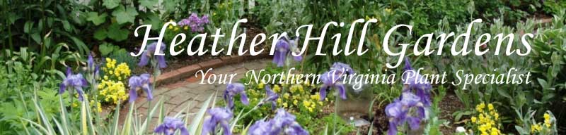 Heather Hill Gardens Banner
