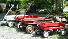 Red Wagons for gathering plants