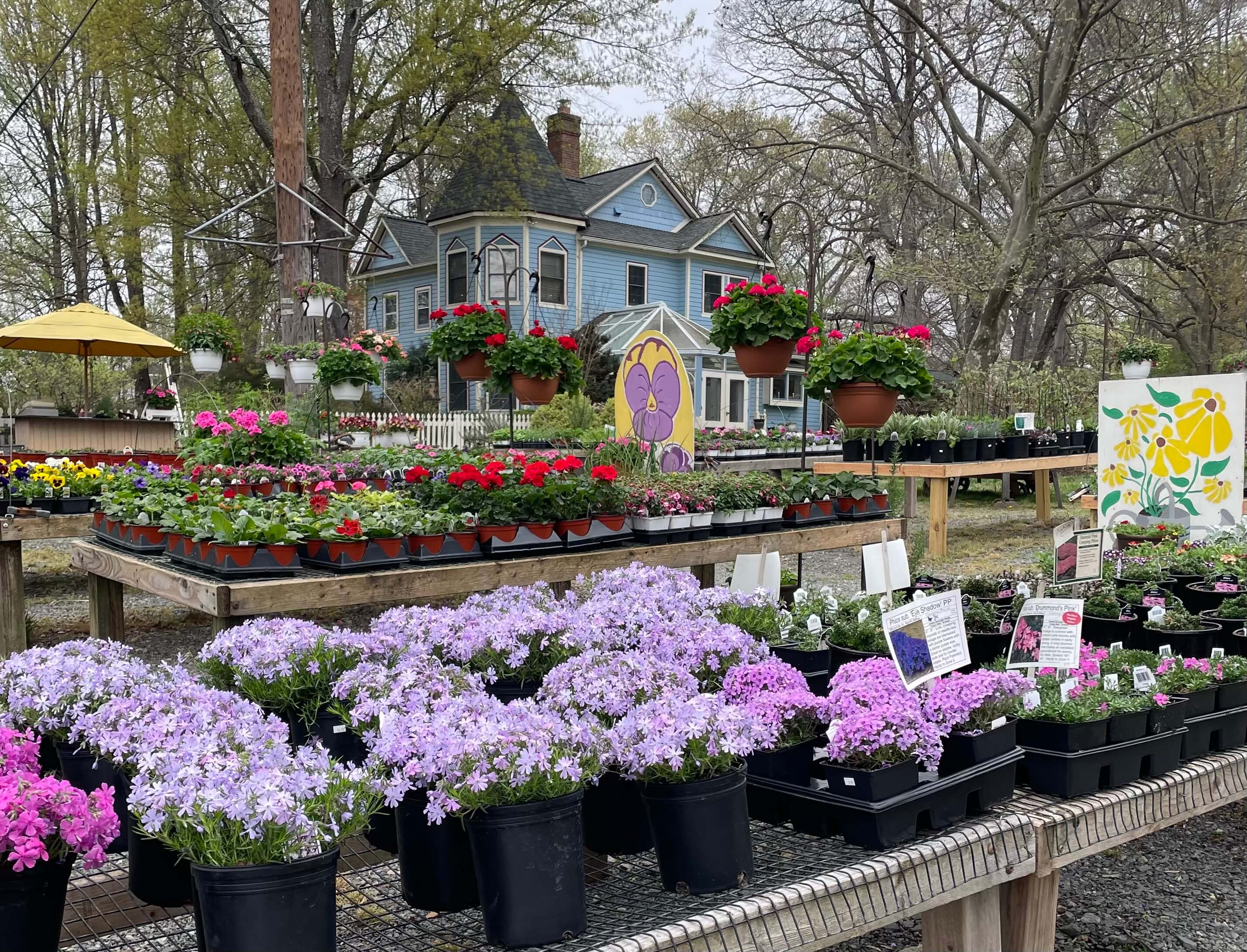 Spring flower display tables at Heather Hill Gardens